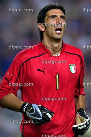 buffon.jpg